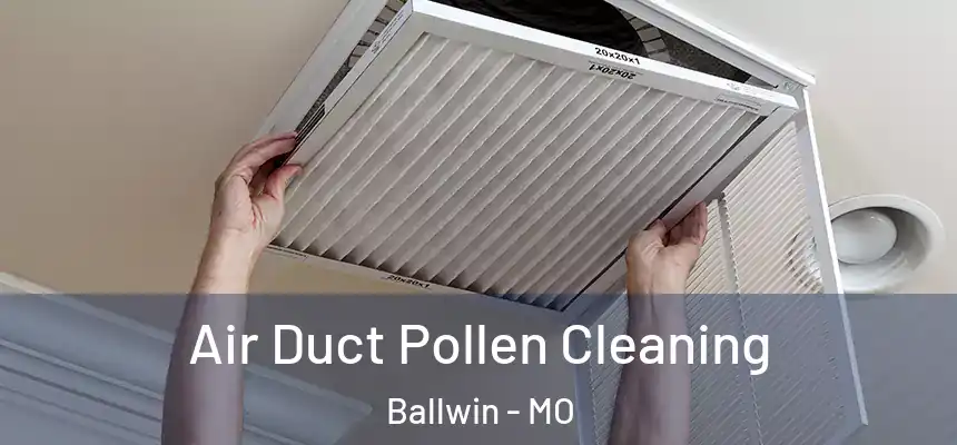  Air Duct Pollen Cleaning Ballwin - MO