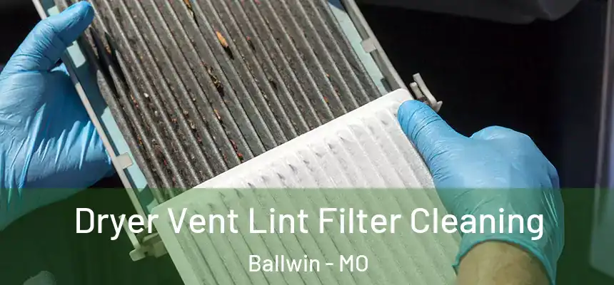  Dryer Vent Lint Filter Cleaning Ballwin - MO