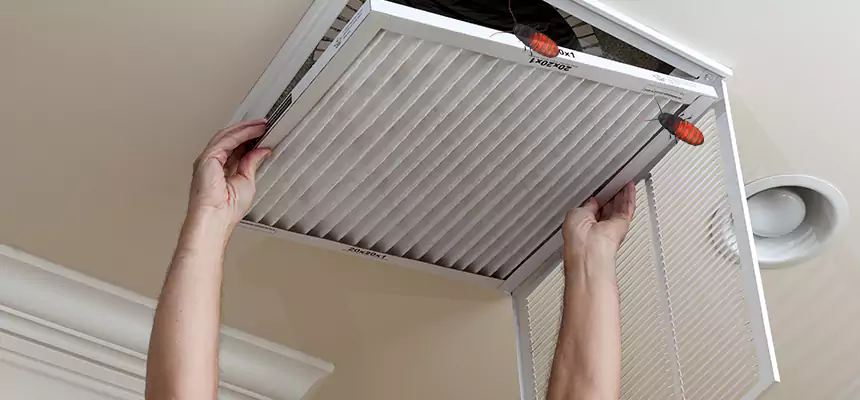 Preventive Cockroach-Proofing for Ducts in Ballwin