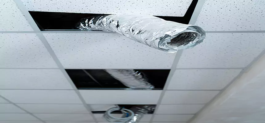 Our Air Duct Pet Hair Removal Services in Ballwin, MO