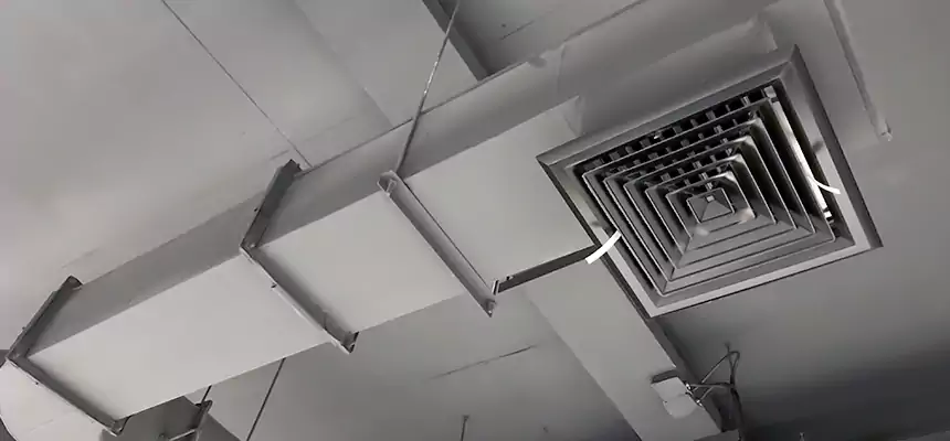 Our Pest Removal From Ducts Services in Ballwin, MO