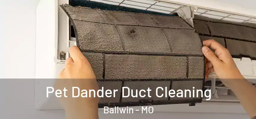  Pet Dander Duct Cleaning Ballwin - MO