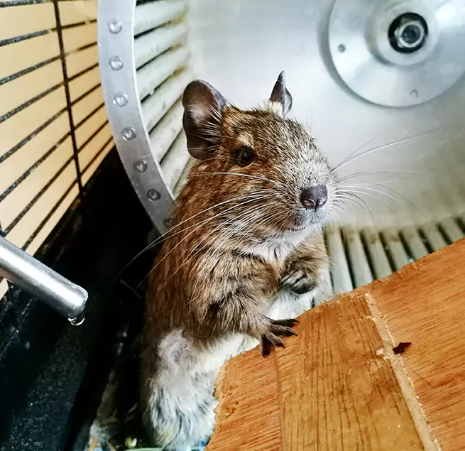 Why Homeowners & Businesses Trust Us Ballwin, MO