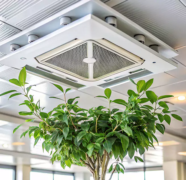 Why Homeowners & Businesses Trust Us in Ballwin, MO